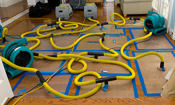 Professional Basement Flood Cleanup technician working in Red House, WV
